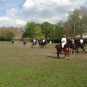 920615_312184158912758_1970040582_o