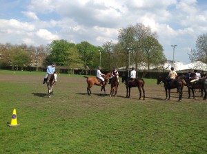 920717_312183995579441_1391883171_o