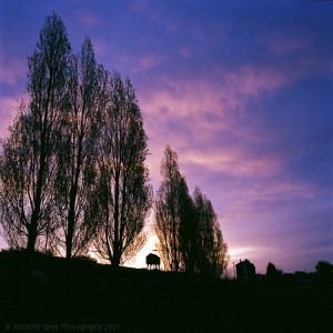By old Shoreditch Station