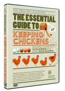 keepingchickens