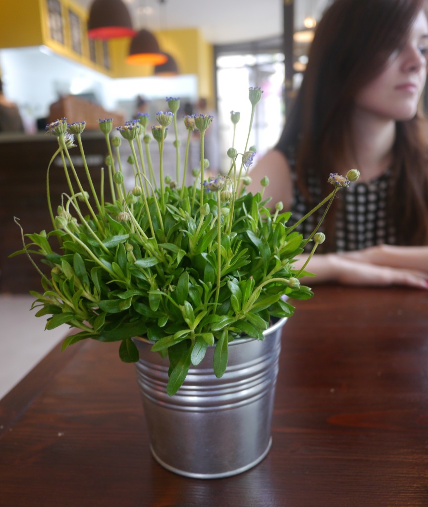 Eat Drink Bee Winchester