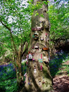 THE FAERIE TREE: A Book In The Making | Frost Magazine
