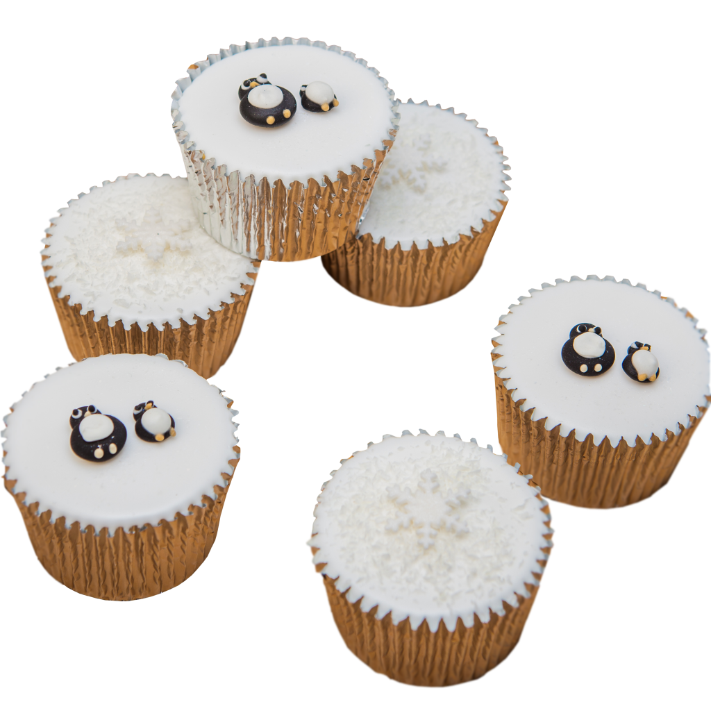 20_Penguin Fairy Cakes