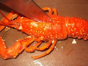 Cutting a cooked Lobster