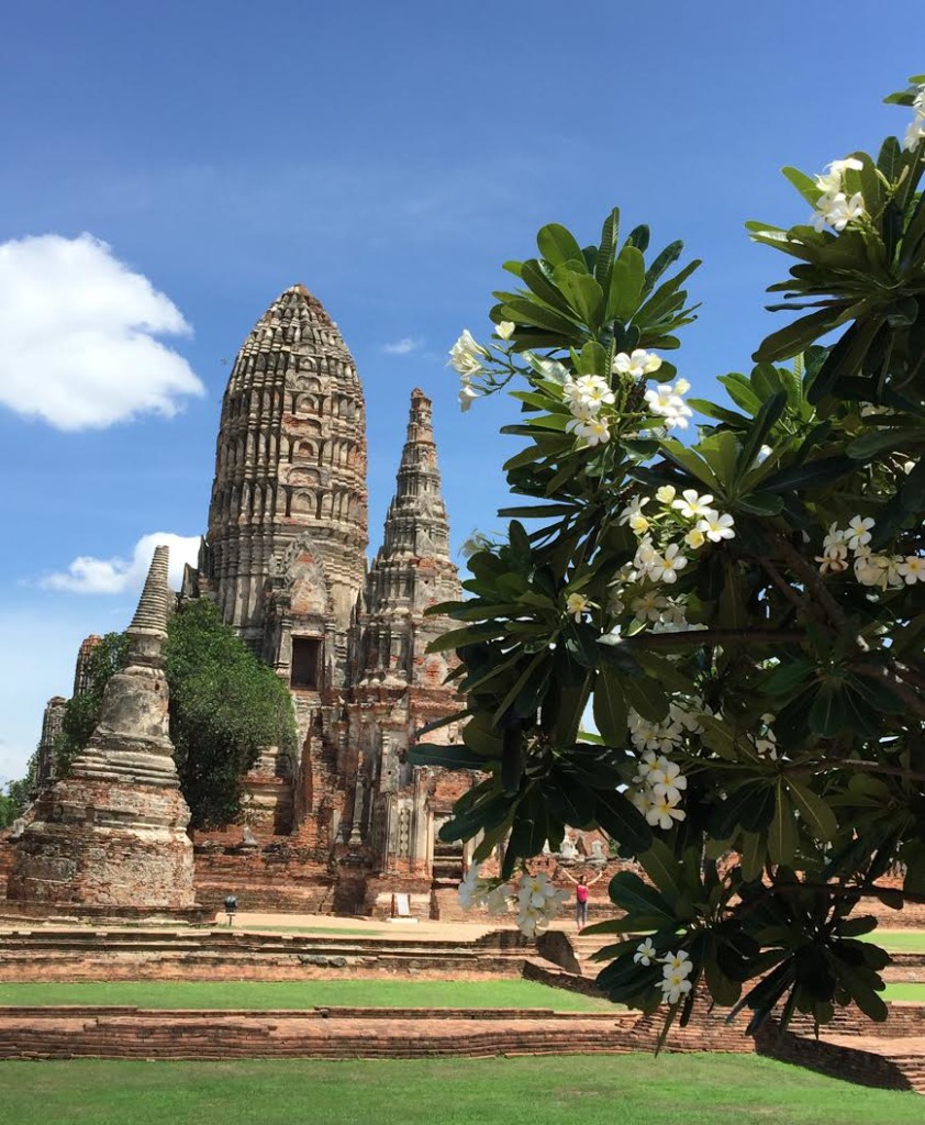 A rare day out with Mr P by Alex Bannard1