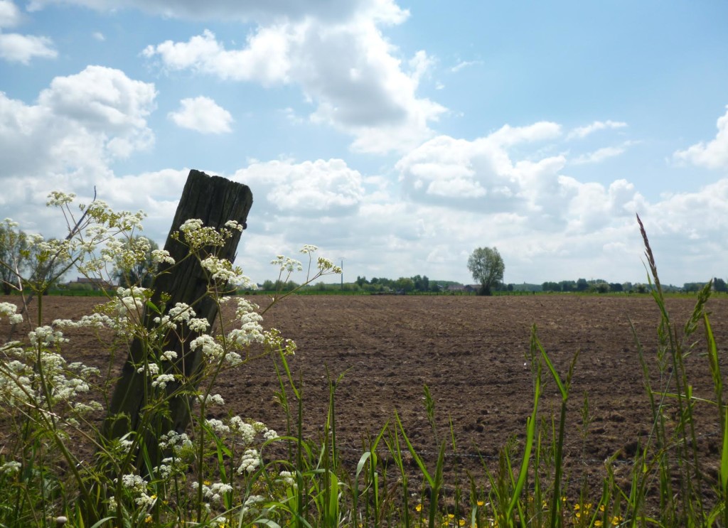 In Search of the Past – A visit to the Somme Part 4 by Penny Gerrard1