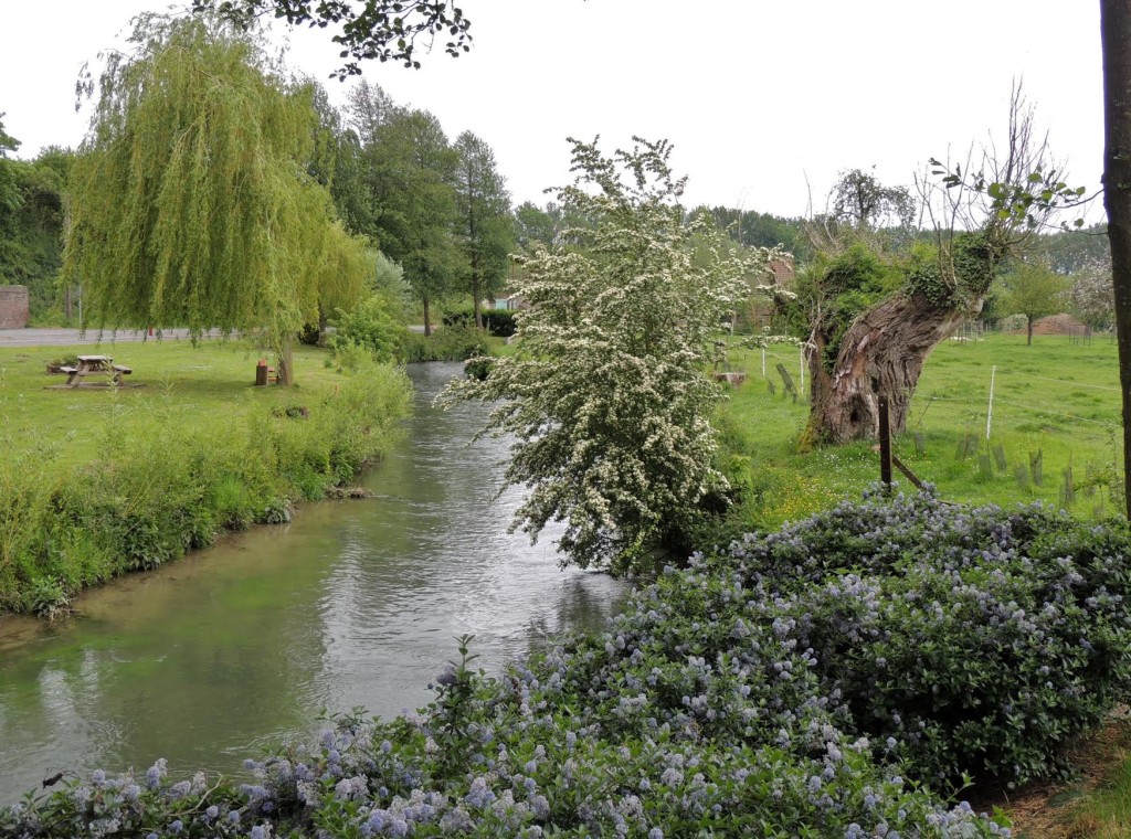 In Search of the Past. A visit to the Somme. Part 6 by Penny Gerrard16