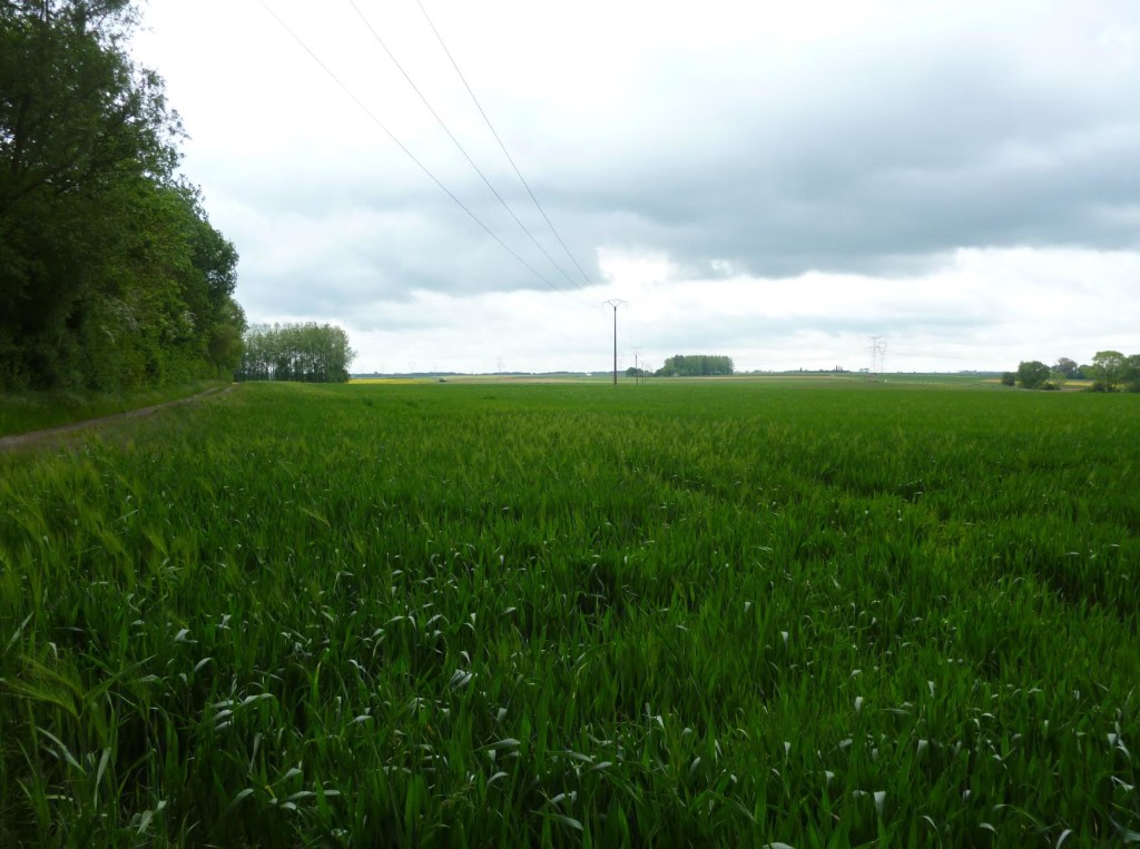 In Search of the Past. A visit to the Somme. Part 6 by Penny Gerrard3