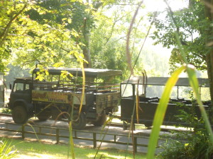 port-lympne-safari-trucks