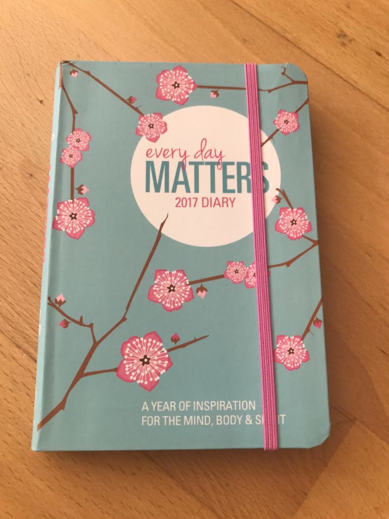everydaymatters2017diary