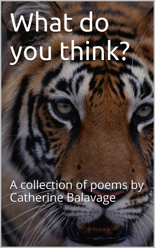 poetry, poetry books, poet, female, women, Catherine Balavage, what do you think? writer