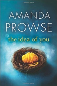 pic 1 The Idea of You