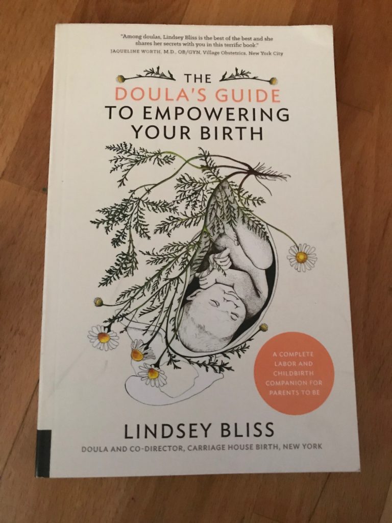 Experienced doula, Linsey Bliss, shows you how to prepare physically and mentally for every element of having a child, from pregnancy to fourth trimester in The Doula's Guide to Empowering Your Birth. Lindsey Bliss, who has assisted as a doula at hundreds of births and is herself a mother of seven, reveals here all the wisdom and advice that doulas share with the new mothers who hire them. The Doula's Guide to Empowering Your Birth covers the period from pregnancy through labor and birth to fourth trimester healing. The focus, however, is on preparing for birth--including topics like how to pick the right childbirth class and the right birthing method. You’ll also see how to assemble the team of professionals, family members, and friends who will support you through labor and birth, and how to approach last-minute decisions about pain medications and cesarean sections. Bliss's tone throughout is at once authoritative and confident as well as warm and encouraging. Her concern in her practice as well as in these pages is to listen to and help secure each new mom's own personal vision of a birthing experience that is safe, fulfilling, and meaningful. 