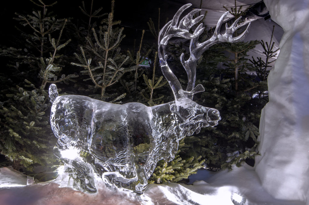 Winter Wonderland 2018