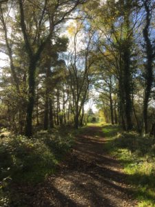 Living with Alzheimers the day bob got lost