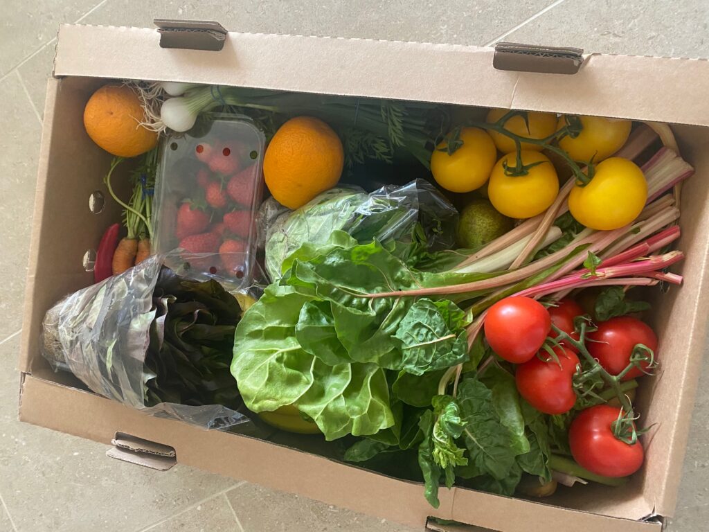 pale green dot, fruit and veg box, fruit, veg, vegetables, box, food, London, 