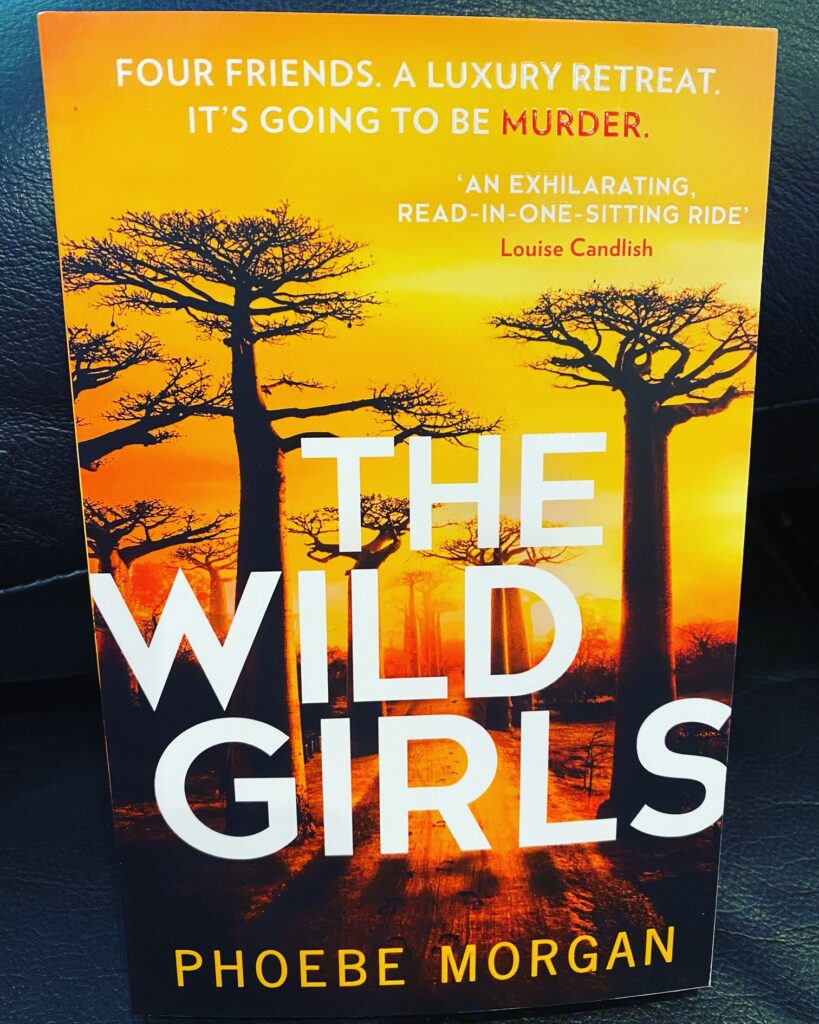 the wild girls, book, phoebe morgan, book, book review. 
