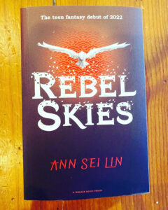 rebel skies by Ann sei linn